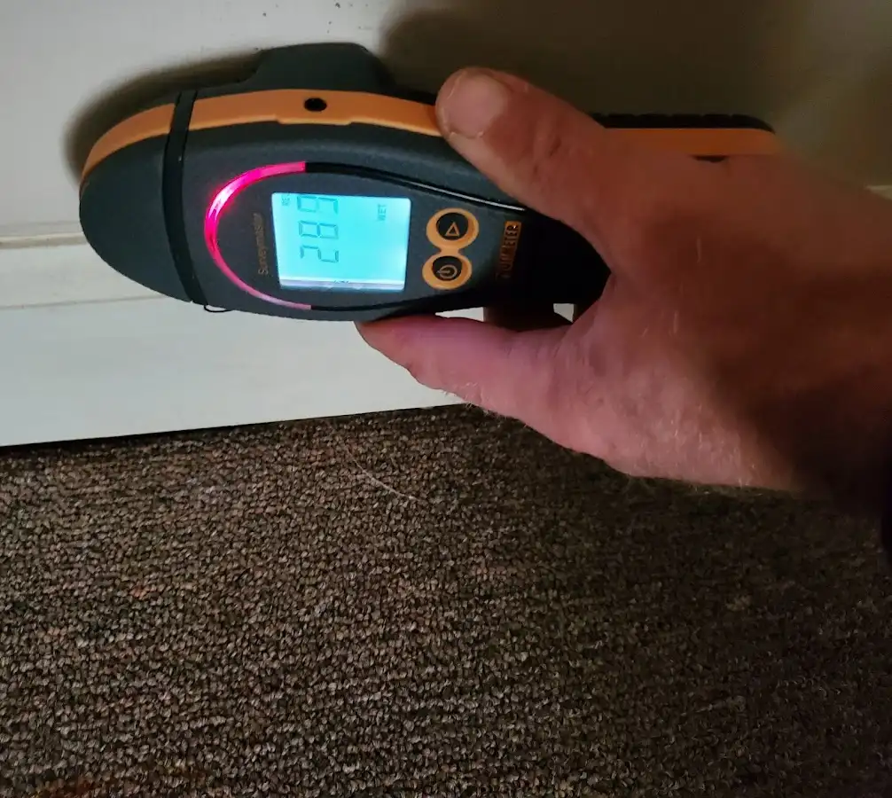 Moisture detection at baseboard during Mold Inspection & Testing in Grand Rapids
